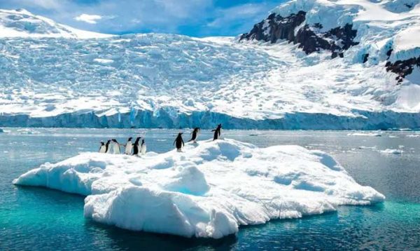 Chilean fjords Chilean fjords