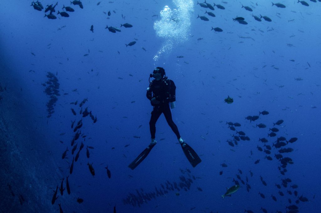 Diver with large school of fish at Socorro Islands, Mexico