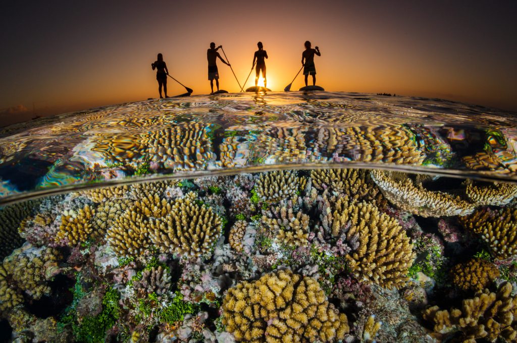 OceanImageBank_GrantThomas_18