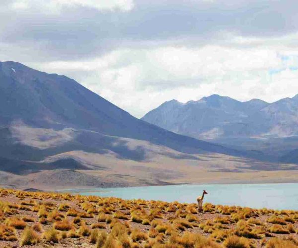 paula-porto-Fma1wE_zIf8-unsplash_11zon paula-porto-Fma1wE_zIf8-unsplash_11zon